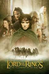 The Lord of the Rings: The Fellowship of the Ring poster 9