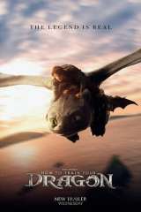 How to Train Your Dragon poster 10