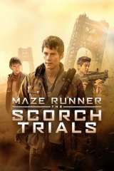 Maze Runner: The Scorch Trials poster 15