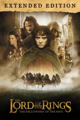 The Lord of the Rings: The Fellowship of the Ring poster 13