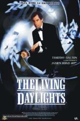 The Living Daylights poster 7