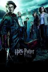 Harry Potter and the Goblet of Fire poster 13