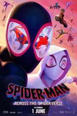 Spider-Man: Across the Spider-Verse poster 7
