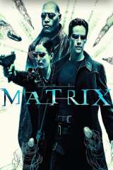 The Matrix poster 29