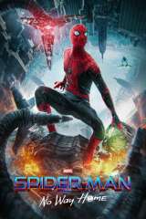 Spider-Man: No Way Home poster 1