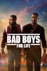 Bad Boys for Life poster 28