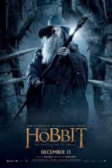 The Hobbit: The Desolation of Smaug poster 37