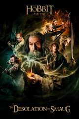 The Hobbit: The Desolation of Smaug poster 31