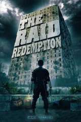 The Raid poster 13