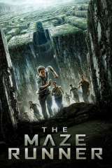 The Maze Runner poster 19