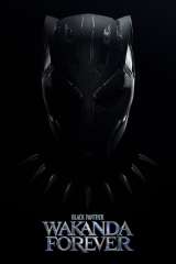 Black Panther: Wakanda Forever poster 40