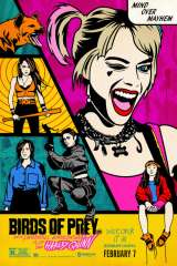 Birds of Prey (and the Fantabulous Emancipation of One Harley Quinn) poster 2