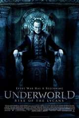 Underworld: Rise of the Lycans poster 9