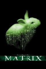 The Matrix poster 36