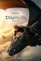 How to Train Your Dragon poster 8