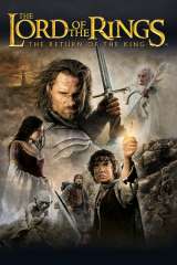 The Lord of the Rings: The Return of the King poster 13