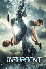 Insurgent poster 14