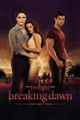 The Twilight Saga: Breaking Dawn - Part 1 poster 11