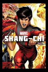 Shang-Chi and the Legend of the Ten Rings poster 24