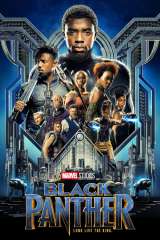 Black Panther poster 28