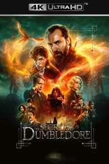 Fantastic Beasts: The Secrets of Dumbledore poster 8