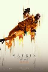 The Matrix Resurrections poster 23