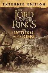 The Lord of the Rings: The Return of the King poster 9