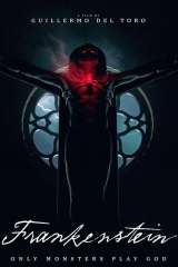 Frankenstein poster 64
