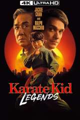 Karate Kid: Legends poster 6