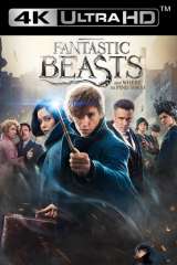 Fantastic Beasts and Where to Find Them poster 14