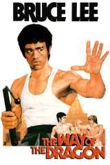 The Way of the Dragon poster 23