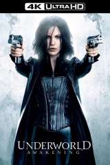 Underworld: Awakening poster 10