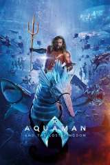 Aquaman and the Lost Kingdom poster 32