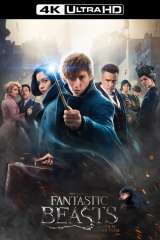 Fantastic Beasts and Where to Find Them poster 9