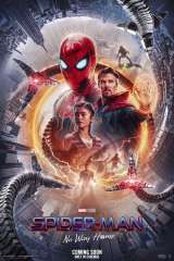 Spider-Man: No Way Home poster 8