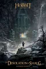 The Hobbit: The Desolation of Smaug poster 39