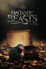 Fantastic Beasts and Where to Find Them poster 1