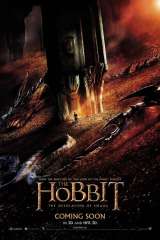 The Hobbit: The Desolation of Smaug poster 36