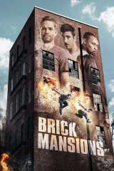 Brick Mansions (2014)