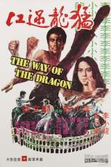 The Way of the Dragon poster 6