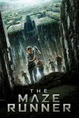 The Maze Runner poster 12