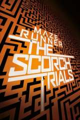 Maze Runner: The Scorch Trials poster 12