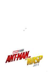 Ant-Man and the Wasp poster 21