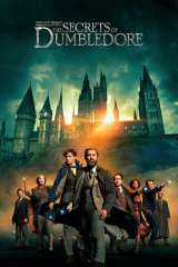 Fantastic Beasts: The Secrets of Dumbledore poster 27