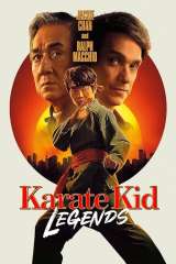 Karate Kid: Legends poster 8