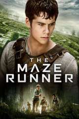The Maze Runner poster 9