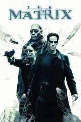 The Matrix poster 34