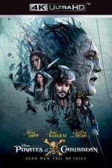 Pirates of the Caribbean: Dead Men Tell No Tales poster 8
