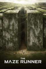 The Maze Runner poster 20