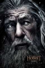 The Hobbit: The Battle of the Five Armies poster 25